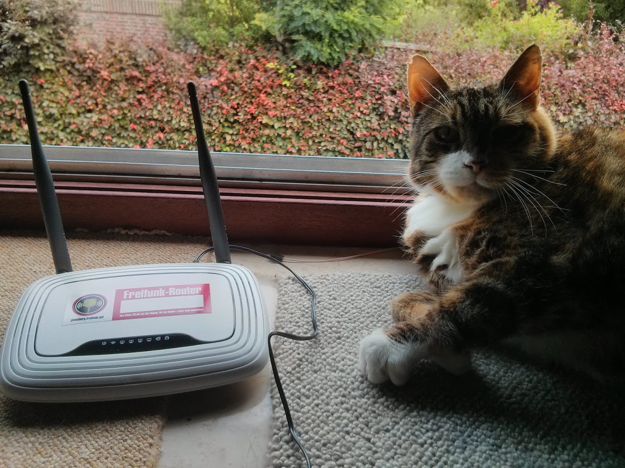 Freifunk-Katze